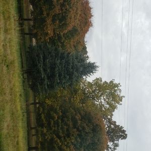 Meet your Posher, Alexia